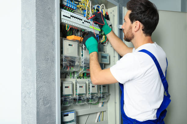 Best Electric Panel Repair  in Dowagiac, MI